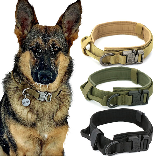 Dog Collar-Tay's Goodies