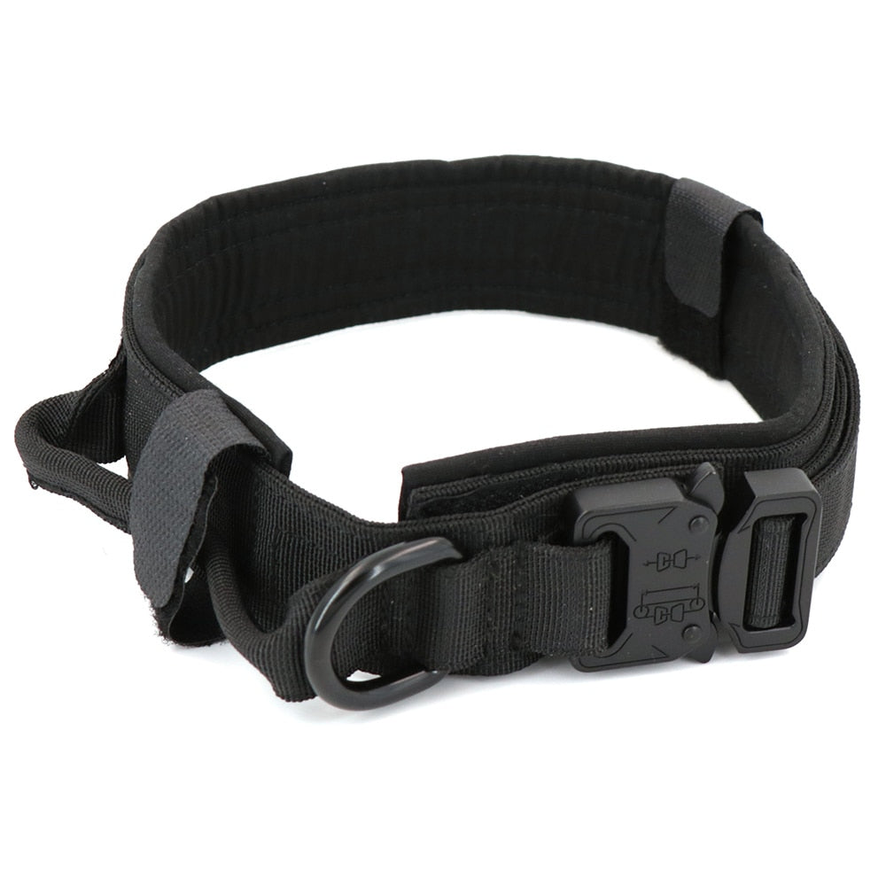 Dog Collar-Tay's Goodies