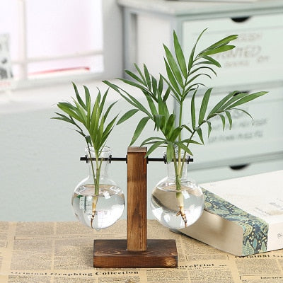 Hydroponic Transparent Plant Vases-Tay's Goodies