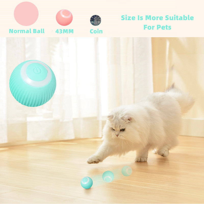 Smart Cat Ball Toys-Tay's Goodies