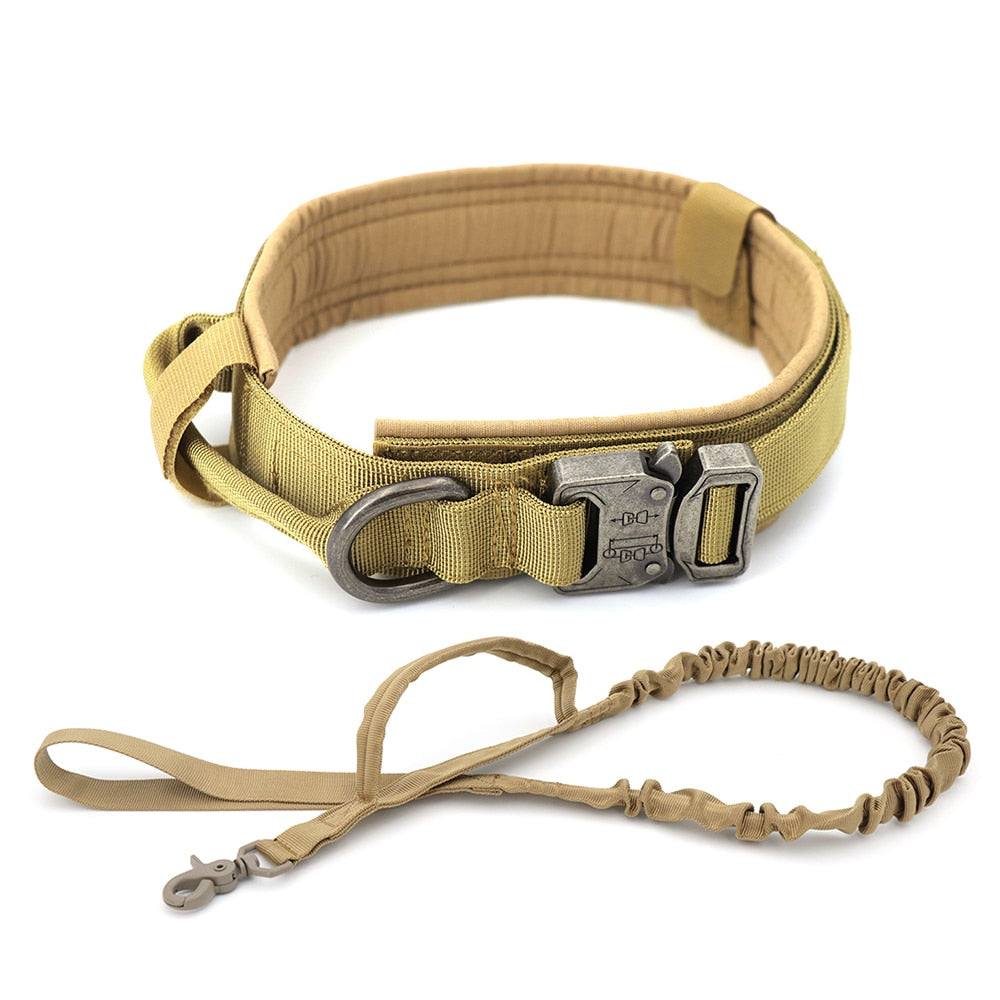 Dog Collar-Tay's Goodies