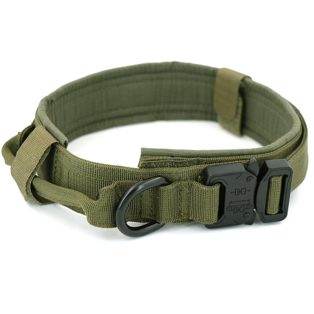 Dog Collar-Tay's Goodies