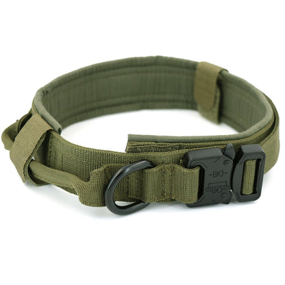 Dog Collar-Tay's Goodies