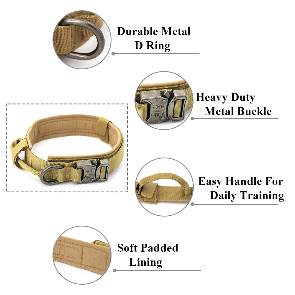 Dog Collar-Tay's Goodies
