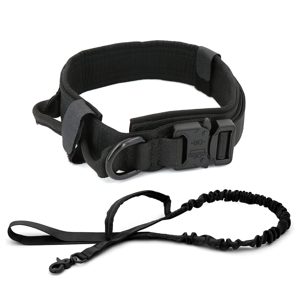 Dog Collar-Tay's Goodies