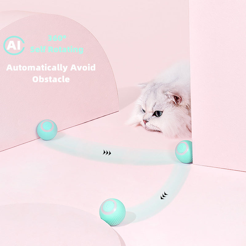 Smart Cat Ball Toys-Tay's Goodies