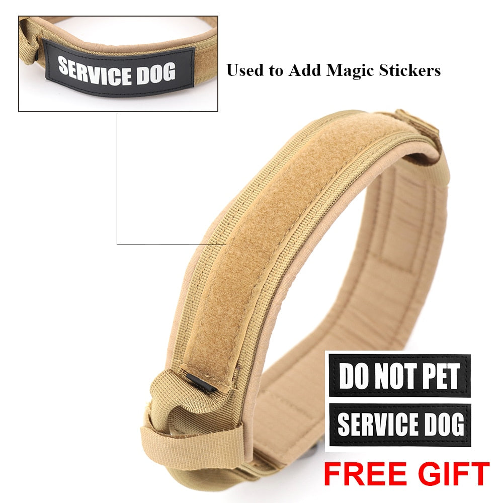 Dog Collar-Tay's Goodies