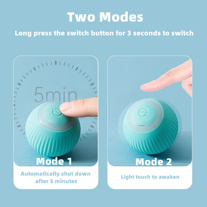 Smart Cat Ball Toys-Tay's Goodies