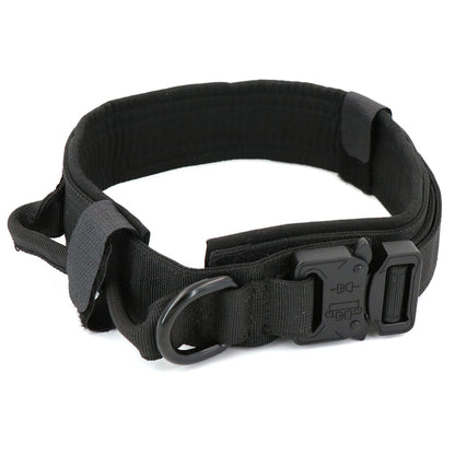 Dog Collar-Tay's Goodies