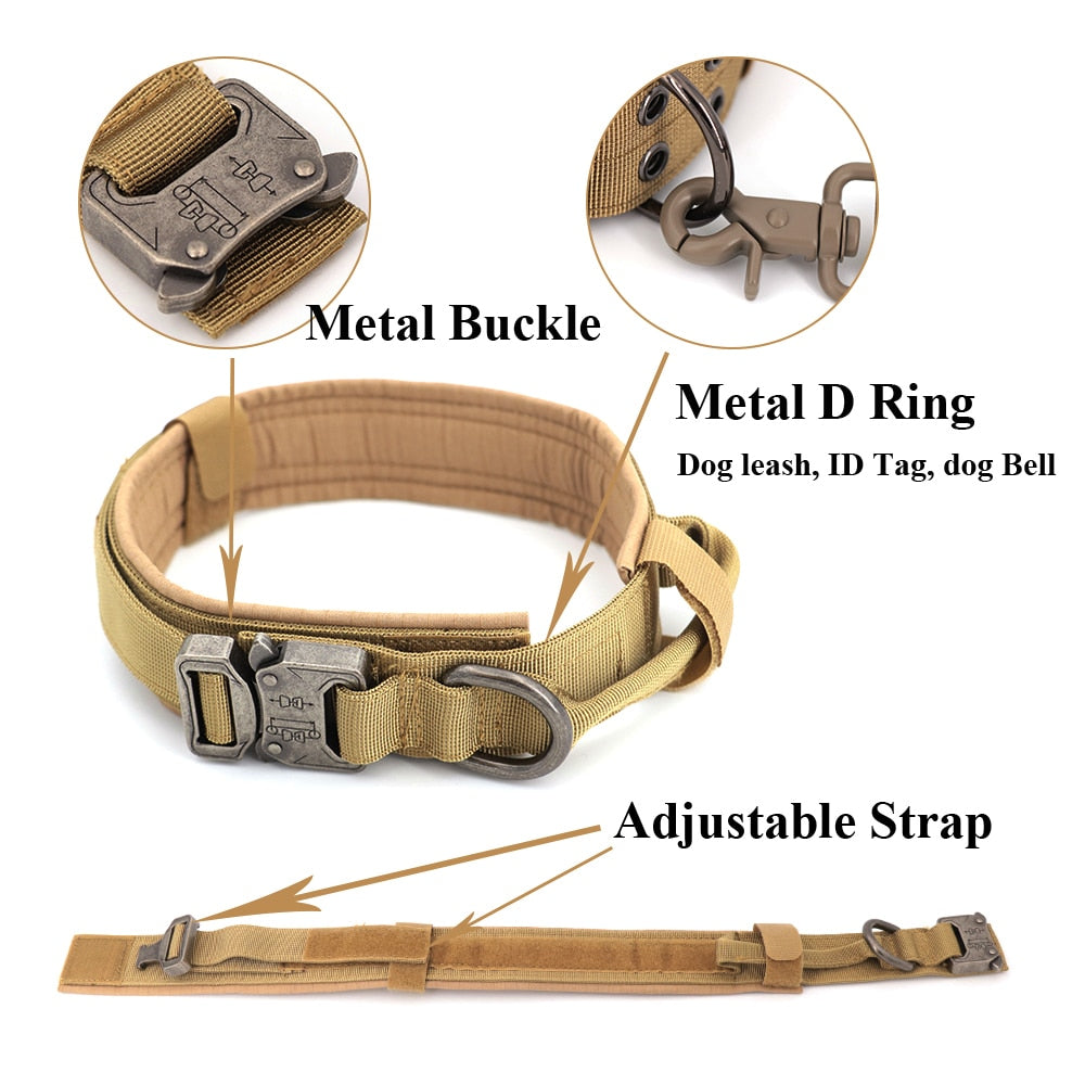 Dog Collar-Tay's Goodies