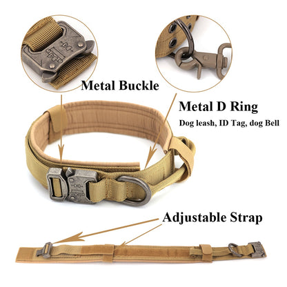 Dog Collar-Tay's Goodies