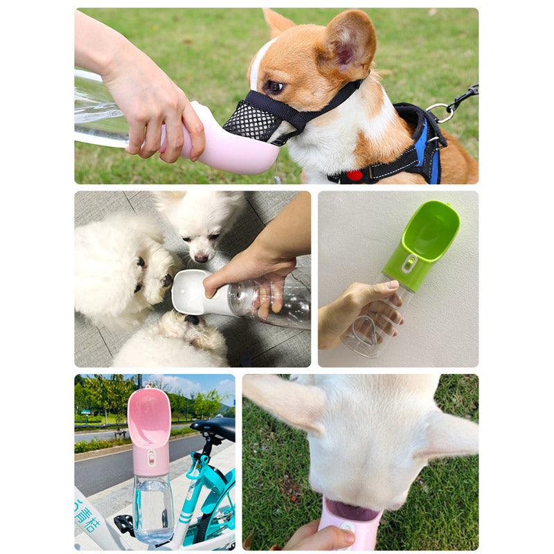 Pet Dog Water Bottle Feeder-Tay's Goodies