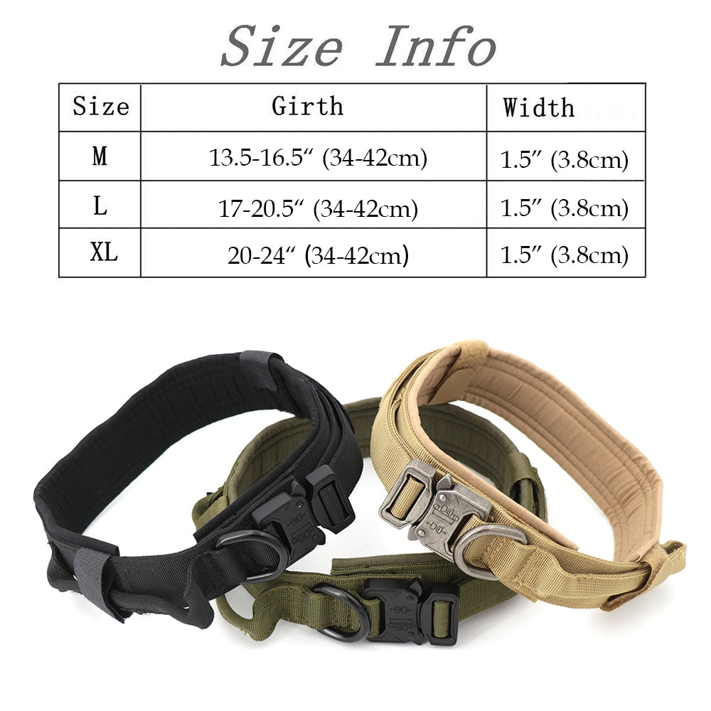 Dog Collar-Tay's Goodies