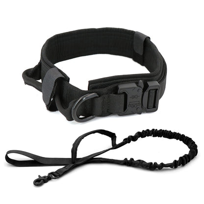 Dog Collar-Tay's Goodies